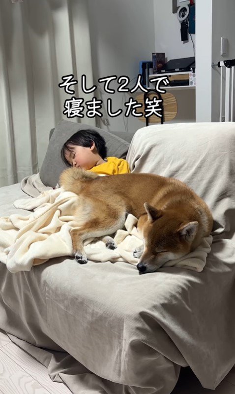 寝ている男の子とボンドくん⑩