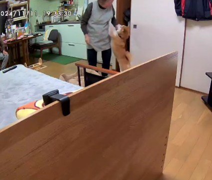 おばあちゃんと富士くんの姿が！