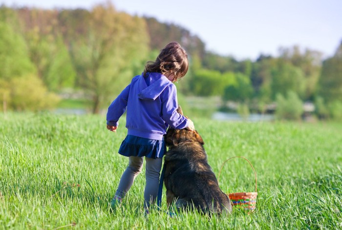 草原で女の子に寄り添って座る犬