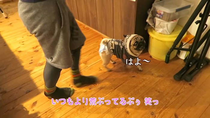 ごはんの準備を開始