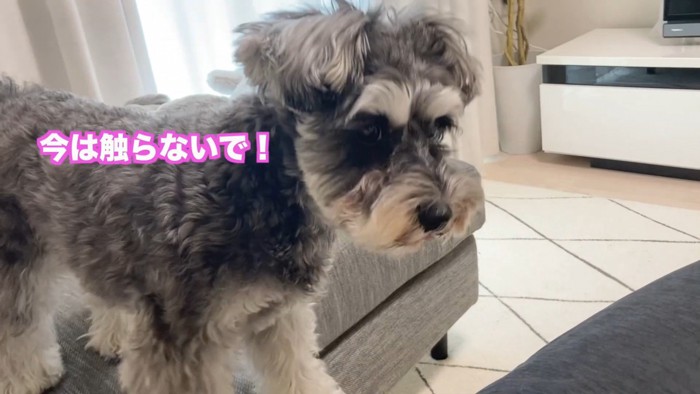喜ぶどころか、拒否！