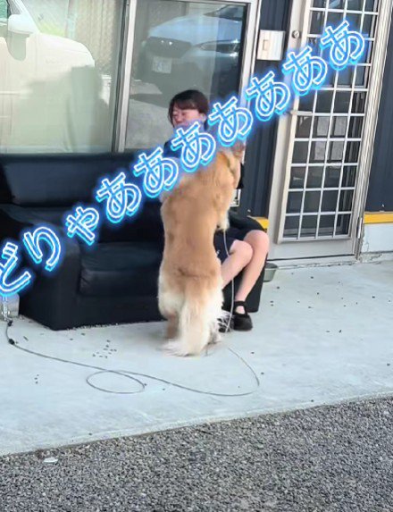 渾身のアタック！！