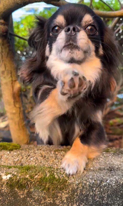 まる君とお姉ちゃんの再会4