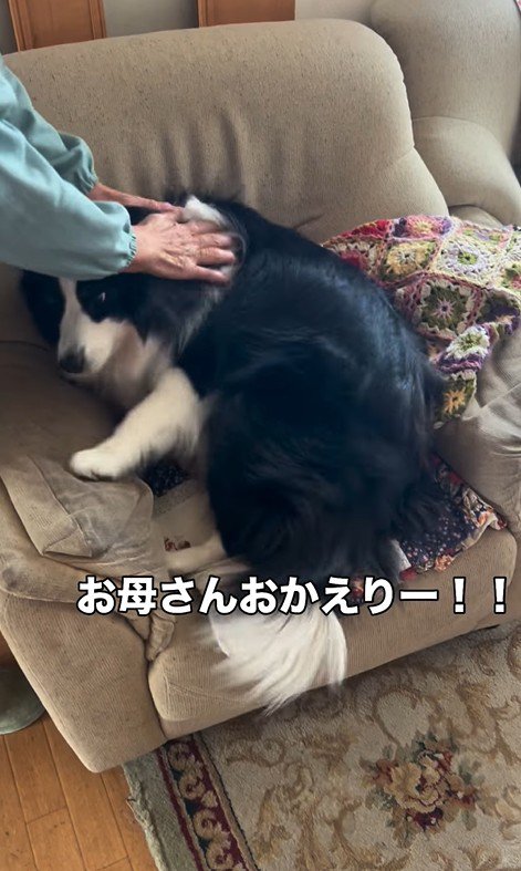 マリちゃんの熱烈歓迎2