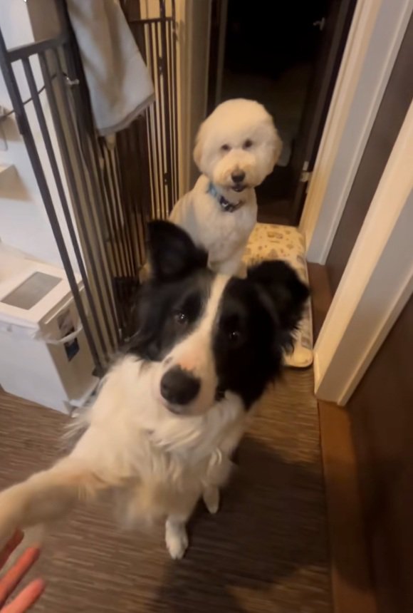 後ろに座る栗丸くん