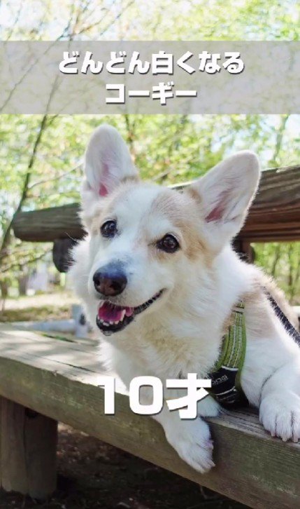 哀愁が出てきたね