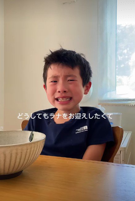 「わんこと暮らしたい」