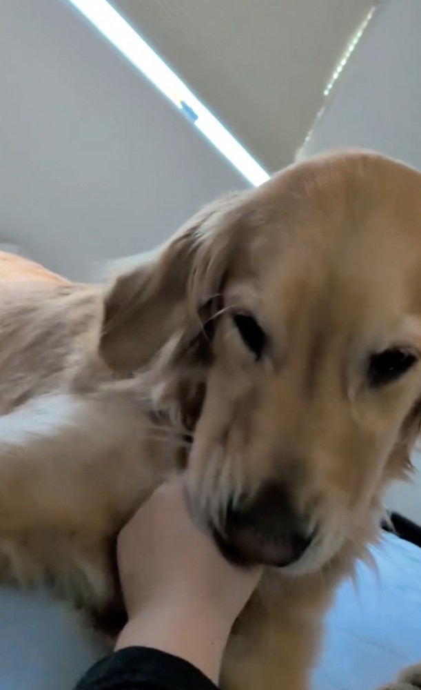 「舐めさせてぇ」