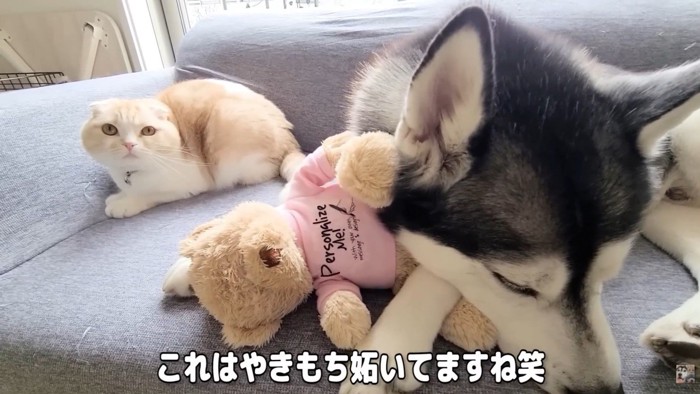 「ねえ、それ僕じゃないよ？」
