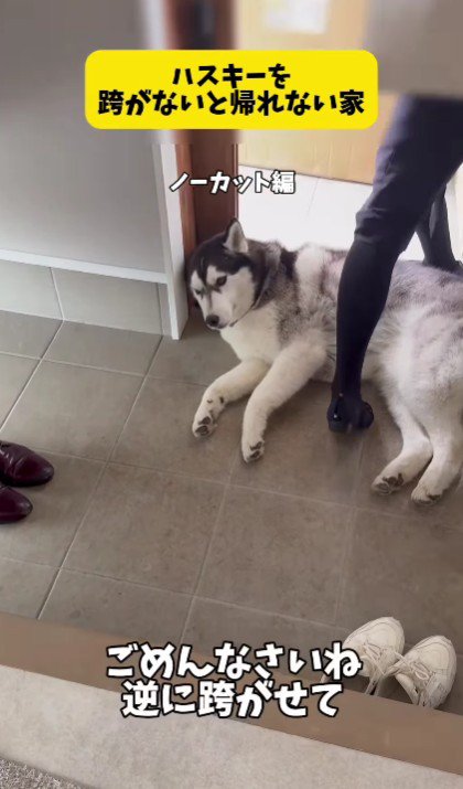 最高のトラップ！