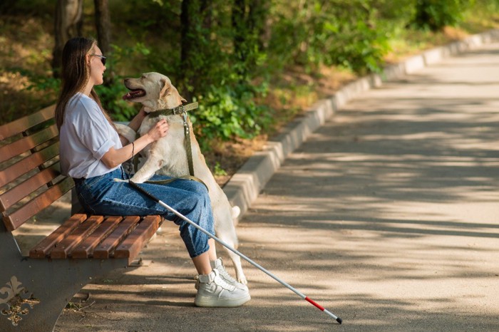 盲導犬を撫でるハンドラーの女性