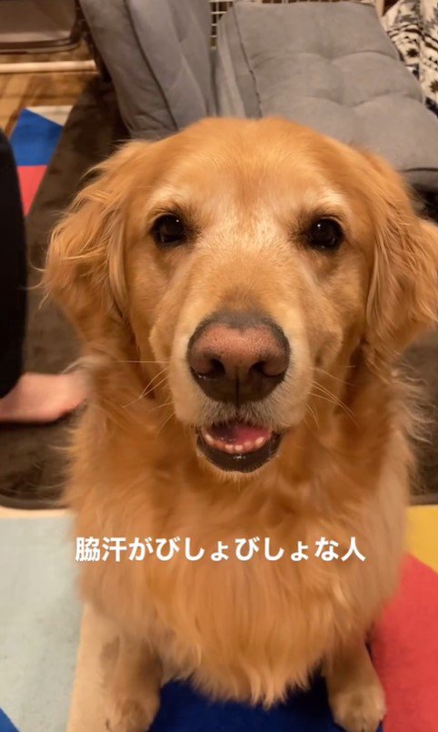 質問にお返事するこたつ君6