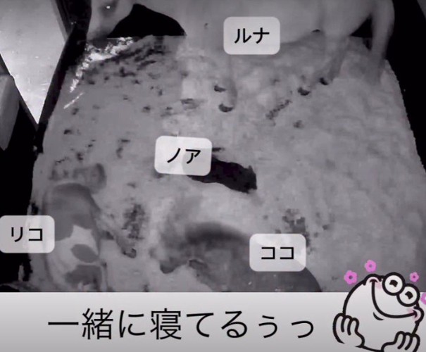 みんな集まってる！！