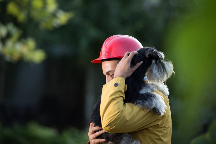 レスキュー隊員に保護されている犬