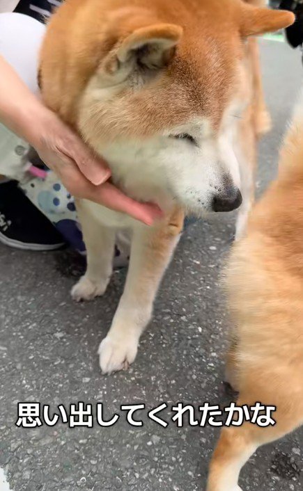 「覚えてる？」