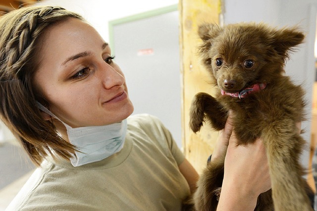 子犬を抱きあげる女性獣医師