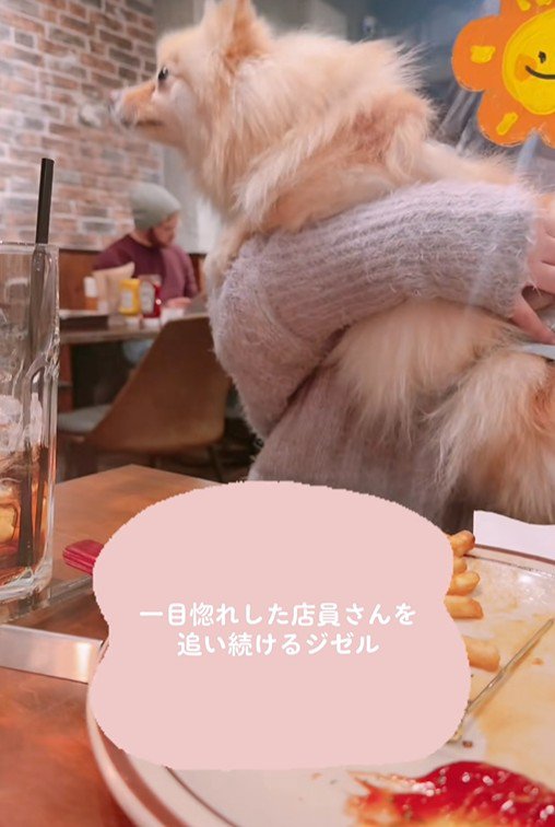 必死のアピールが可愛い♡