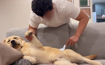 堂々としすぎてる!?