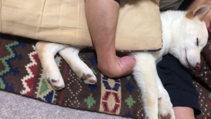 幸せそうにすやすや…♡