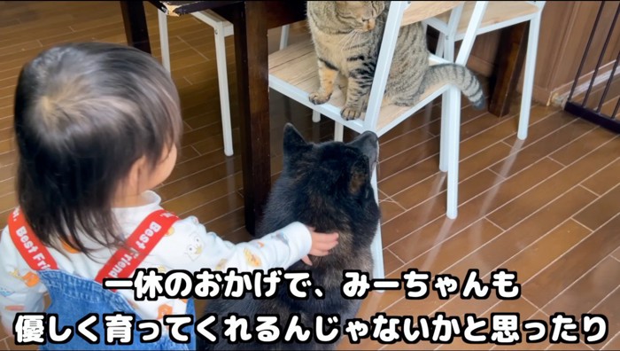 椅子に乗った猫を見つめる犬と、犬を撫でる子ども