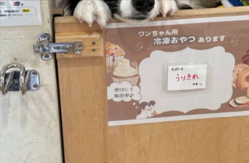サロン