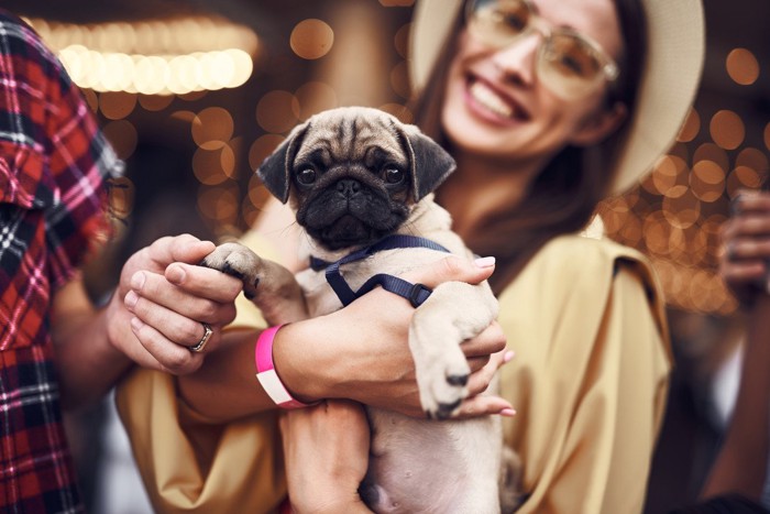 他人に触らせて喜ぶ飼い主と犬