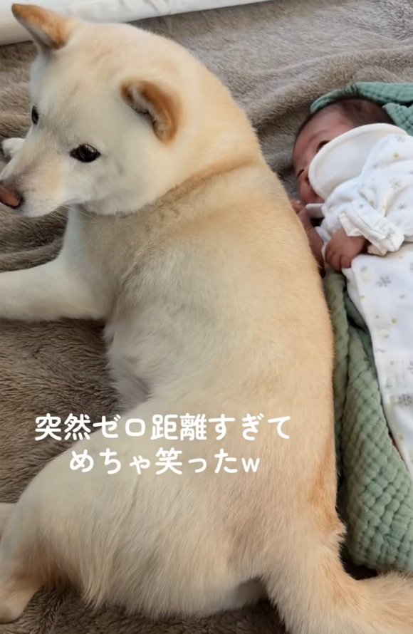 赤ちゃんに寄り添うカナちゃん