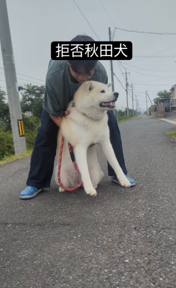 持ち上がらない犬1