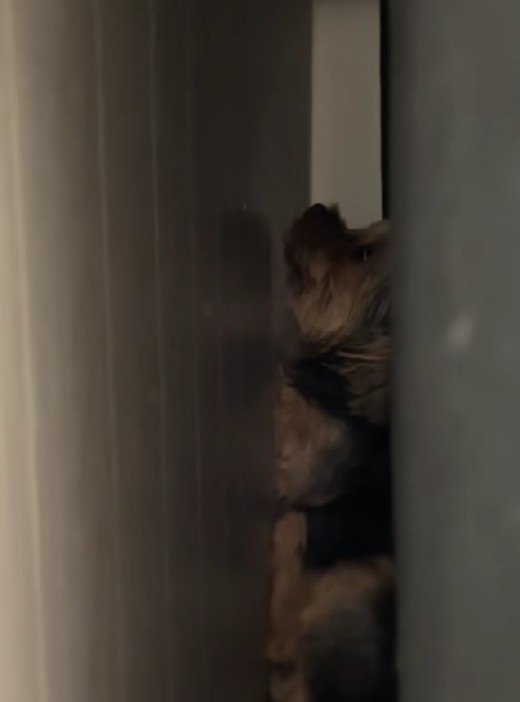 思わずホッコリ