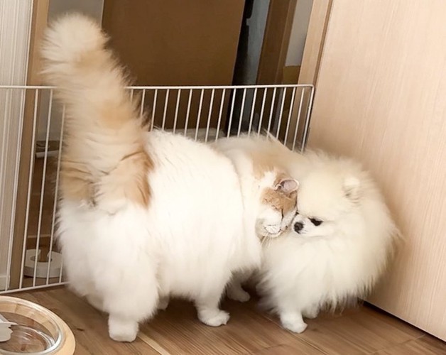 レモン