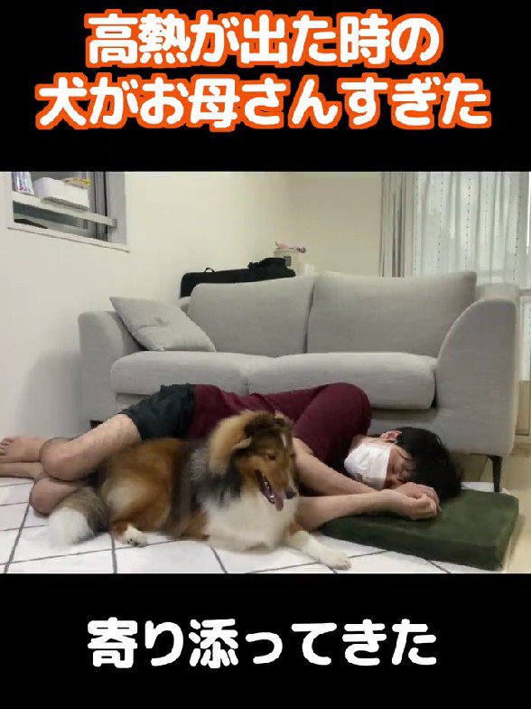 えとろちゃんが寄り添ってくれた♡