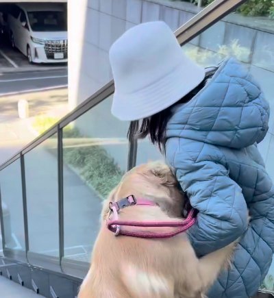 子供を押す犬