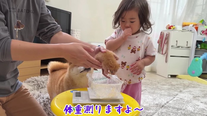 体重測定の見学も