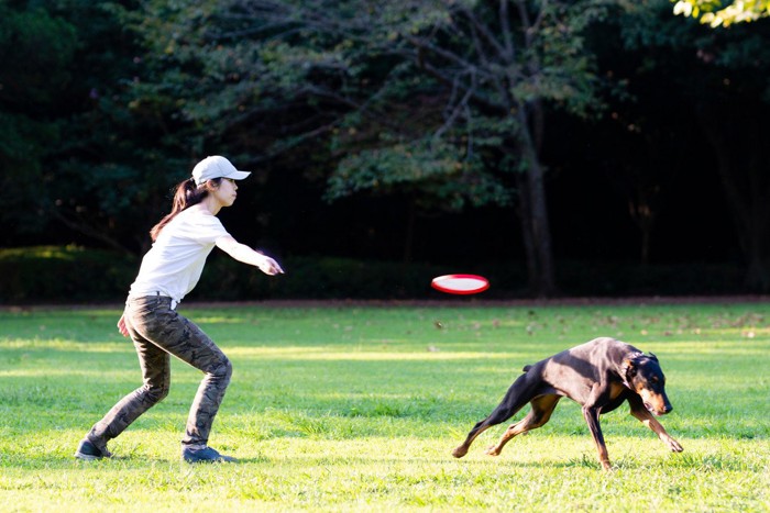 フリスビーで遊ぶ女性とドーベルマン