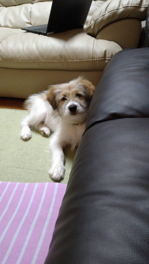 すくすく成長して…