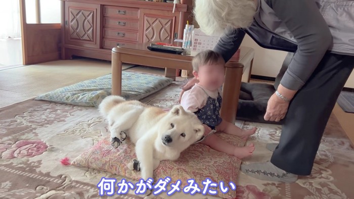 「大丈夫だよ」
