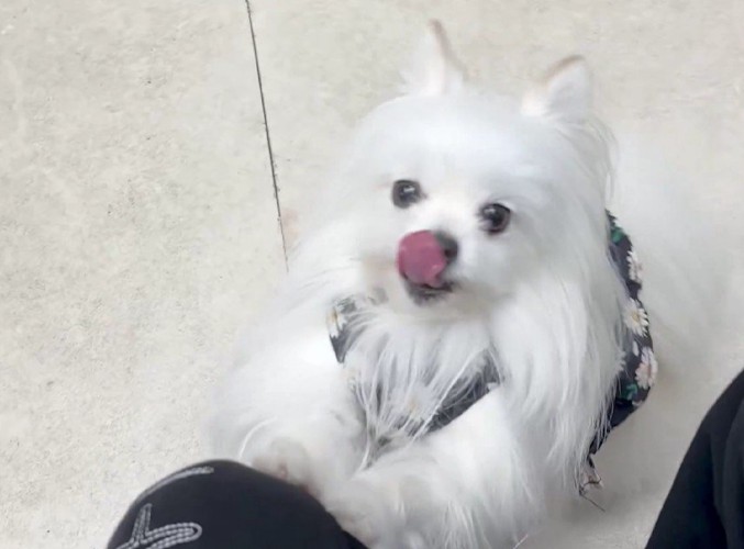 まるで子どもみたい！？