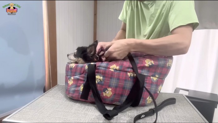 ペットキャリーに入れられた犬