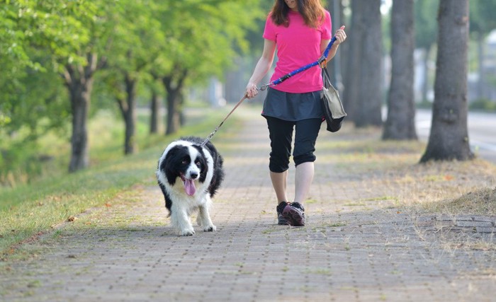 犬と散歩する女性