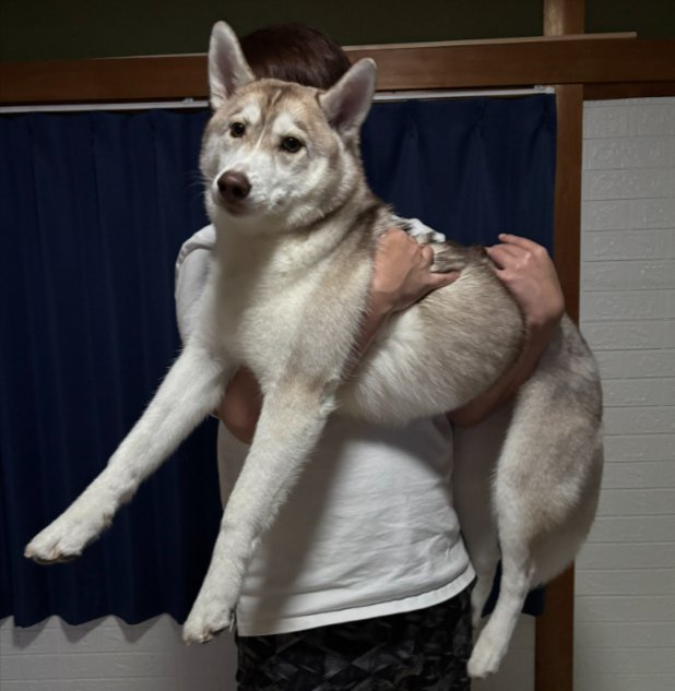 まだ