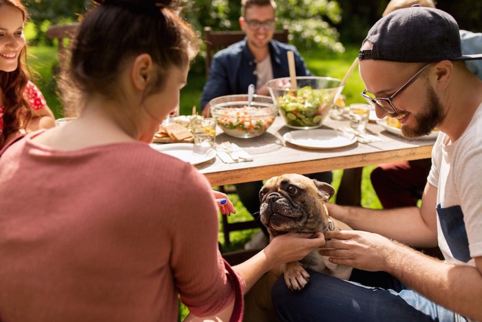 食事をしている人の足に手をかける犬