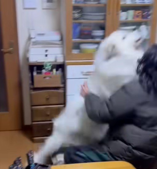 お母さんにも容赦なし
