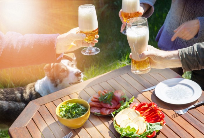 ビールで乾杯をする人たちとそれを眺める犬