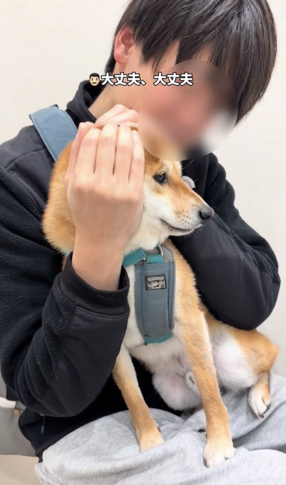 横目で周囲を見る犬