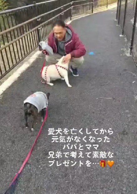2匹のわんこを亡くして…