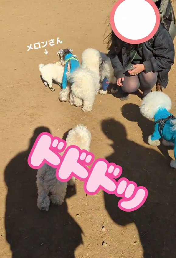 ドドドッ