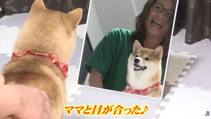 「ママがいる…?」