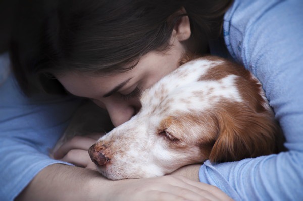 抱きしめられる犬