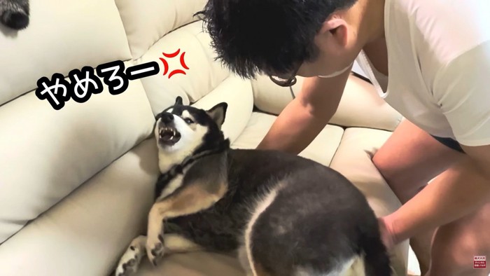 強制的に移動させたら…