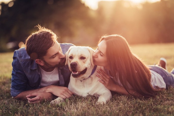 男性と女性にキスされる犬